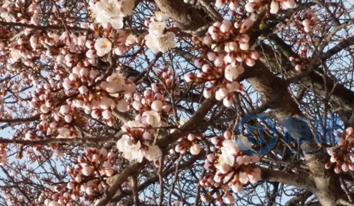 2015年佳木斯分公司春游踏青活動