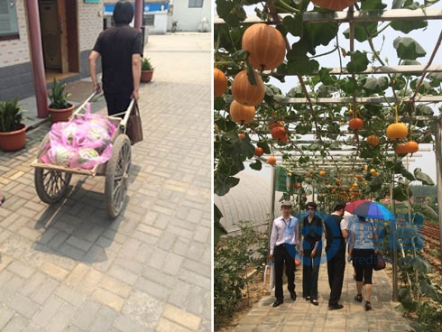 ”夏日送清風“ 恒昌財富假日農莊答謝節