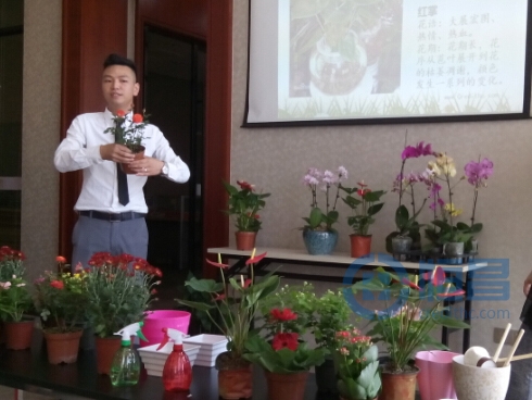 溫州分公司盆栽創(chuàng)意活動.jpg