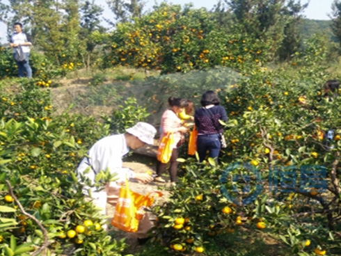 杭州第一分公司舉辦桐廬一日游活動 杭州第一分公司舉辦桐廬一日游活動