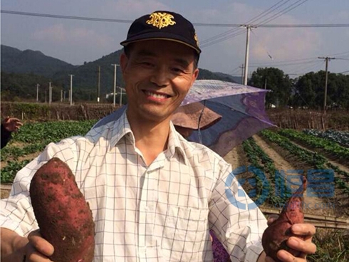 寧波第二分公司舉辦農家樂采摘活動