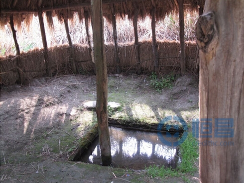 寧波第二分公司芝林景區游記紀實