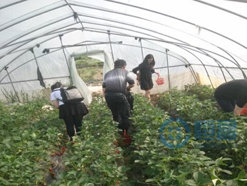 無錫第二分公司溧陽南山竹海一日游活動 無錫第二分公司溧陽南山竹海一日游活動