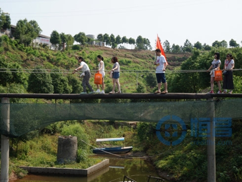 岳陽分公司舉辦暢游農(nóng)家樂團建活動