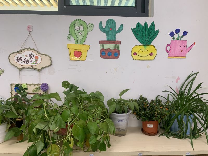 �Ϸ��Ж|Ԫ�҈@С�W(xu��)�_չ�����á������༉����(chu��ng)�����(d��ng)