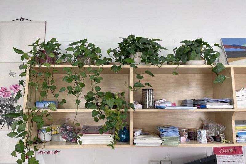 �Ϸ��л���С�������F(tu��n)���ڴ�߶����� ���ν�������