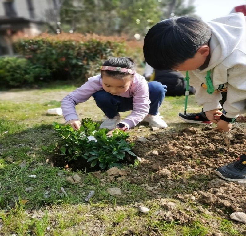 �Ϸ��л���С�������Fӳ��У�^էů߀�����K�� ���g���������