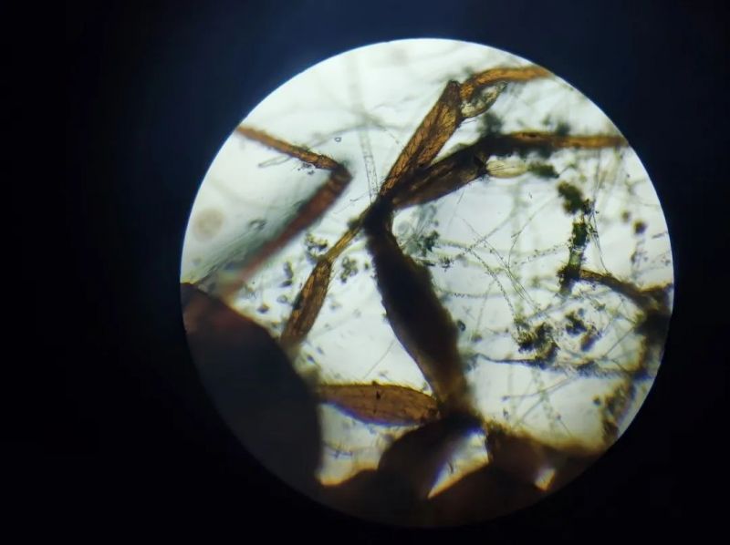 �Ϸ����p���׃��@�������F��Ȼ�ӷֈ@�������О�ʄt �`�Ј̳̽��Z