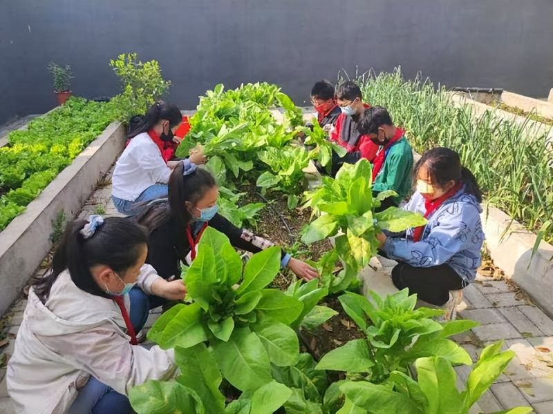 �Ϸ��йų�С�W(xu��)�_չ���҄ڄ��ҿ옷�����}�������