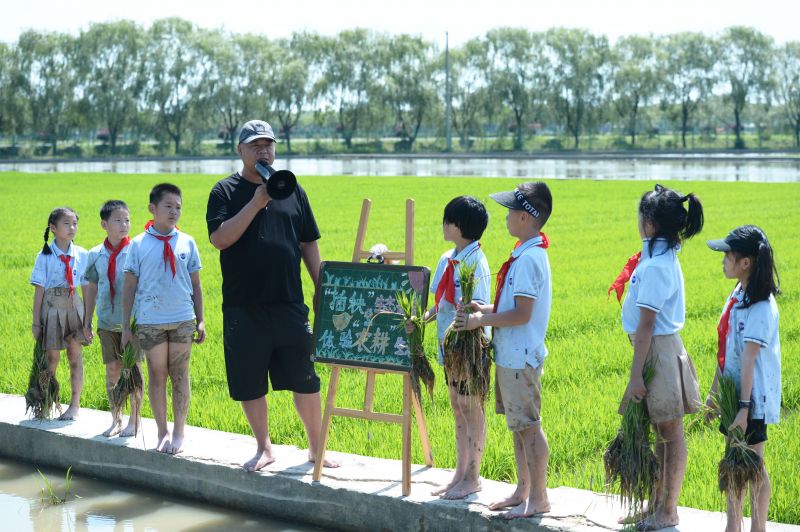 �Ϸ��Ў�������С�W����18�����_չ�����g�n�á��ڄӽ������}���