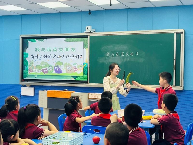 �����������F���_չ�C�ό��`����n�ý̌W��ӑ���