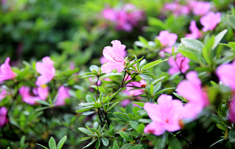 �Ϸ��к��|С�W Ԭ�磺������λ��׌�WУ�����ɞ�ˇ�g