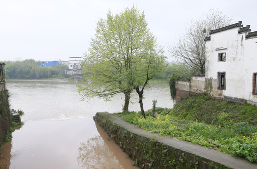 �Ϸ��д�ͥ�@С�W �����������ޣ��o�Լ�����늡�