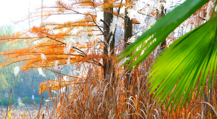 �Ϸ��оG��С�W �����䣺�W����˼�t��