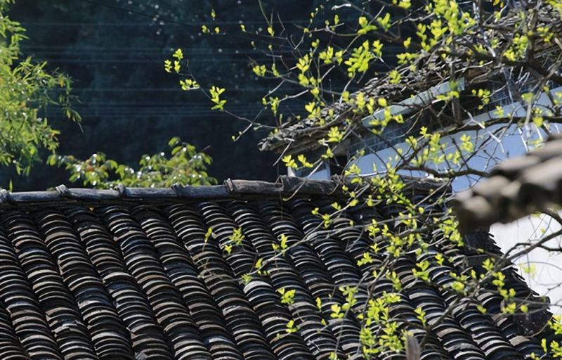 �Ϸ��е����С�W �Ļݣ����Ă����ġ����o��ͯ���L