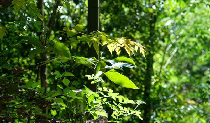 �Ϸ�����ʮ�ЌW�|У����·У�^ �������o�ഺ���ġ��ġ��_ʼ