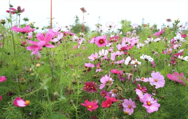 �Ϸ�������С�W���㣺����������m���ЌW�������О�ƫ��