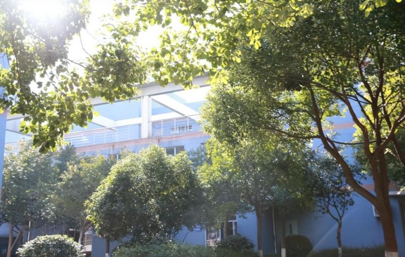 �Ϸ��н��С�W ����ɭ�����О������������������F�W����Խʽ�lչ