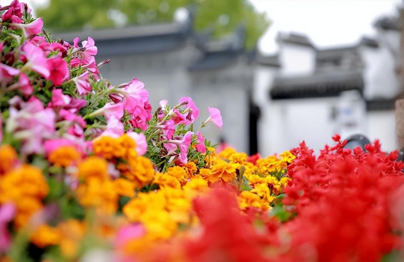 �Ϸ��е���ʮ�ЌW��У�ζ�÷��������L֮�� ������������