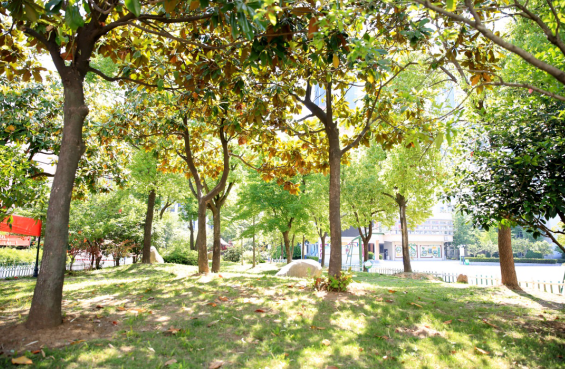 �Ϸ�����ʮ�ЌW�|У���@У�^ �~�᣺ꖹ��đB���������������B