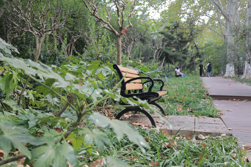 �Ϸ������@�´�С�W��У ��������ɽ�^(q��)��С�WУ�L������Ӗ�ĵ��w��