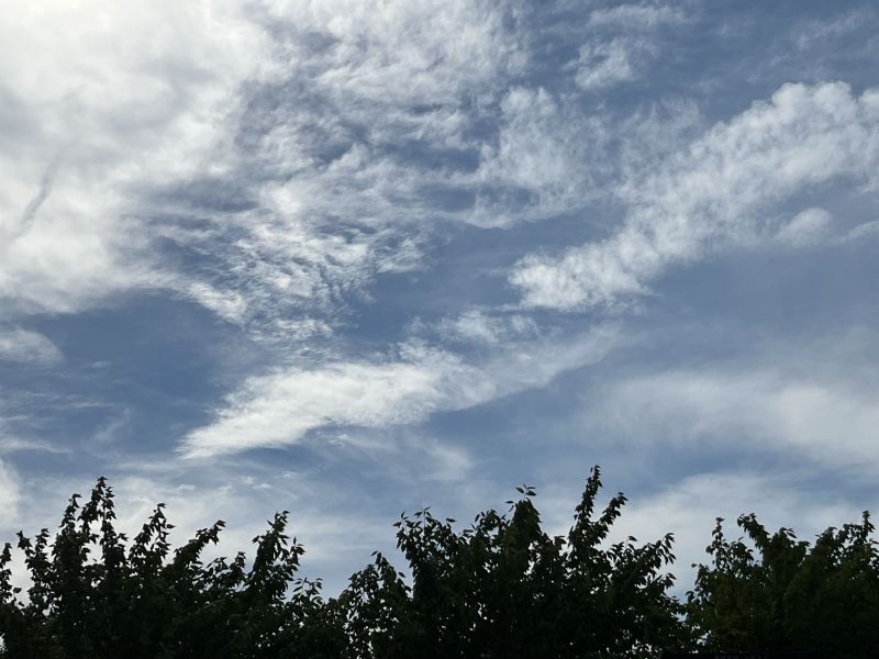 �Ϻ�����W���Fꠡ������l(xi��ng)�����r(n��ng)ֱ��