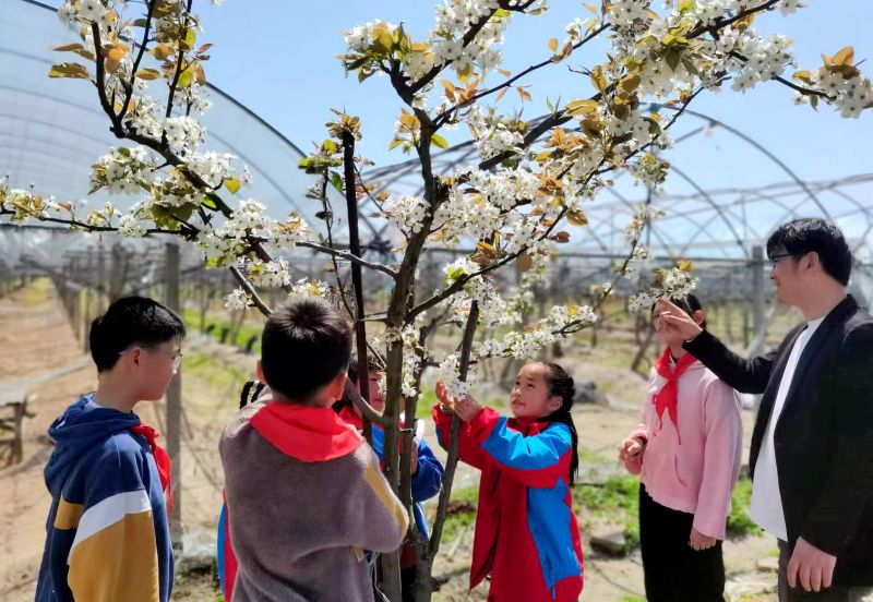 ���l�|�����̎���һƪ�������¡�