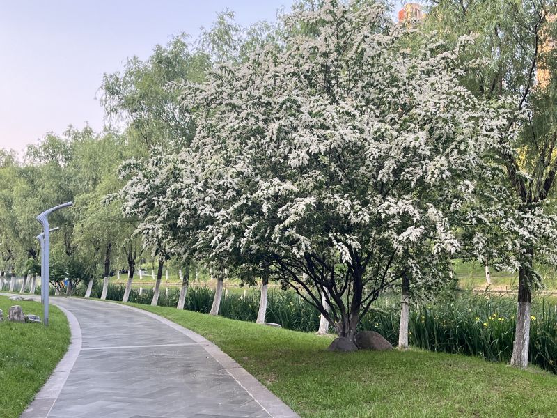 ���������|����ʩ���A�������n���½̲�