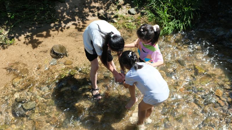 �ߜ��Ƽo� �������֌WУͣ�n�����t�_�W