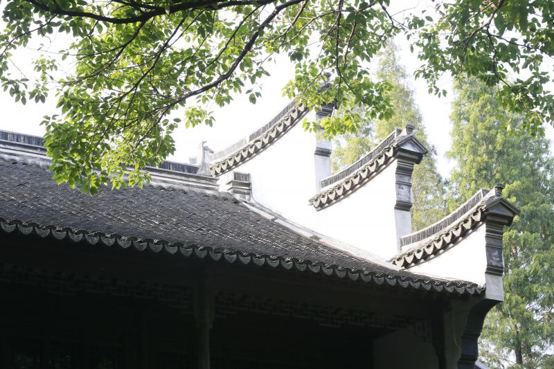 ̽���P�ݹ��Ļ� �����r������