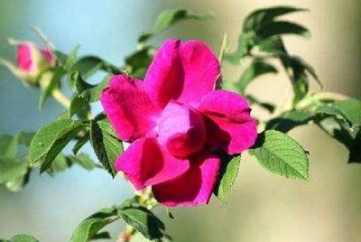 �m���е���ʮ���ЌW(xu��)���m�԰l(f��)չ ���˳ɲ�