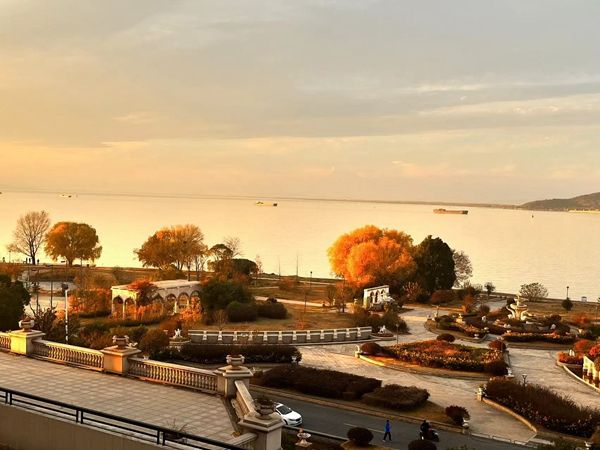 �ڵ����̌W�����B�W���Č���