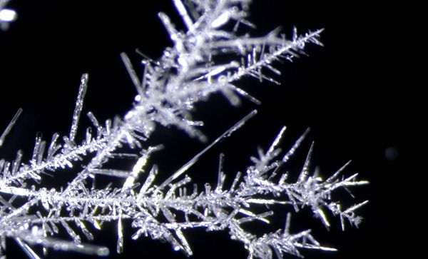 �����I�����M(j��n)��С�W(xu��)У�ƌW(xu��)�������|(zh��)���l(f��)չ