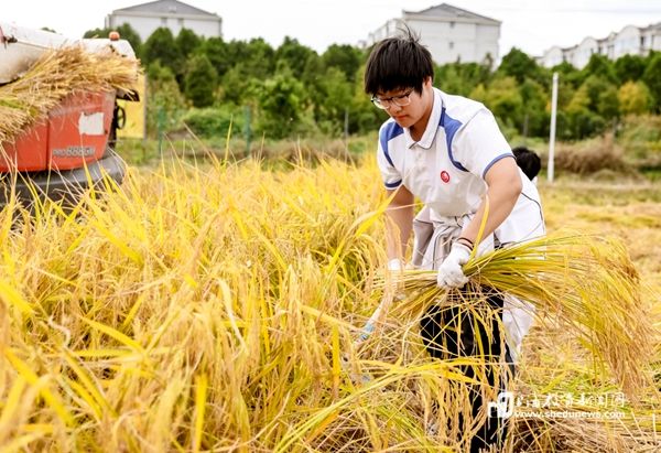 ����r���Äڄ�