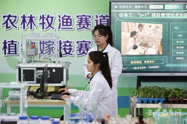 ȫ���h���k2024�������IԺУ���ܴ�ِ���Qِِ�