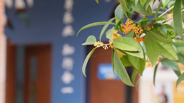 ������������ʡ�Gɫ�W(xu��)У�����x�������ڹ�ʾ