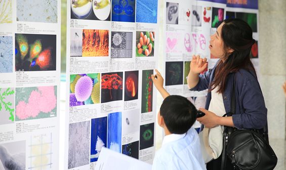 ����(bi��o)��(zh��n)�����L�W(xu��)У���O(sh��)���(xi��ng)Ŀ����(d��ng)