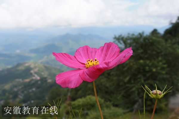 ˼���̎�Ҫ������ɽ��?q��)����v�õ���