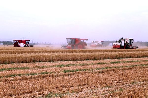 ɽ�|��(j��)�������조����չ�� �ЌW(xu��)�ի@��