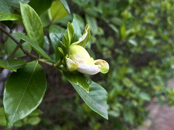 �㽭ͩ�l(xi��ng)���h���(li��n)�w���_(k��i)�W(xu��)�����Ľ����l(f��)չ��˼·