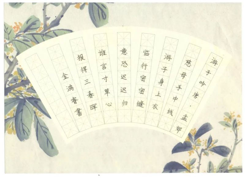 ī����С�W��Ӳ�P������Ʒϵ��չʾ�������