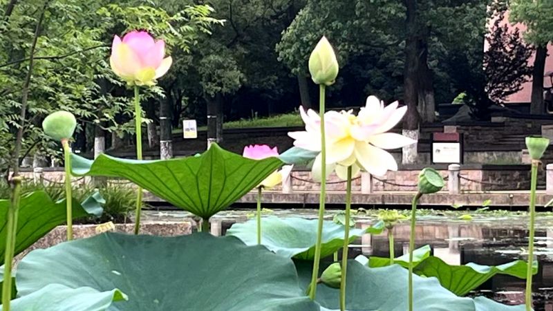 �e�����u�r���Ѻ��Ӄ�(n��i)�(q��)��