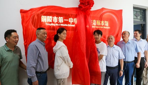 �~��һ�����B�˱��^�����_�^