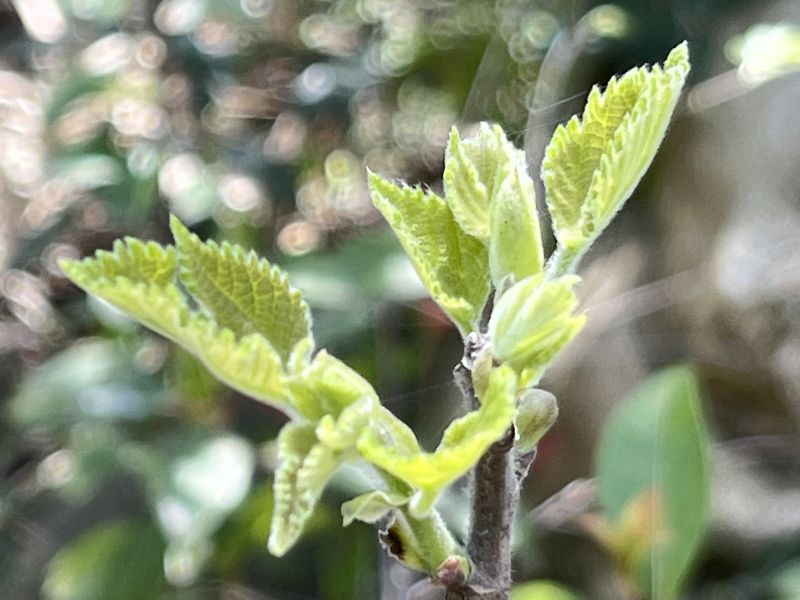 �F�w�����o������С�W���}�����е��ںϑ���