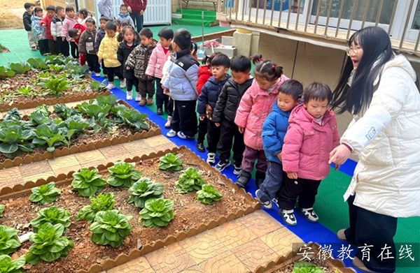 ʯ������׃��@�������Έ@̽�أ����팍�`��Ȥ