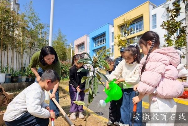 ���L(f��ng)ʮ�� ����ֲ������ �Sɽ�^(q��)�W(xu��)�����G�����r