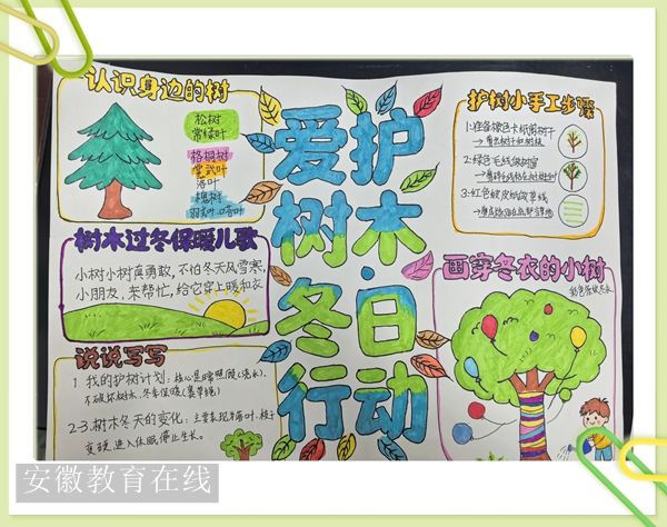 ʮ�����ČWУ�_չ�����Ļ��c��ľ�^����W�ƌ��`���