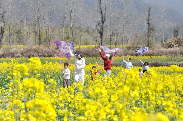 ��h���~�贺�� ���w����