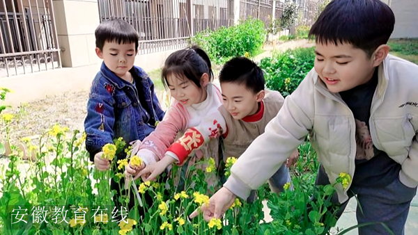 �����׃��@�ِ�?c��)A���ֈ@�_(k��i)չ�������}���(d��ng)